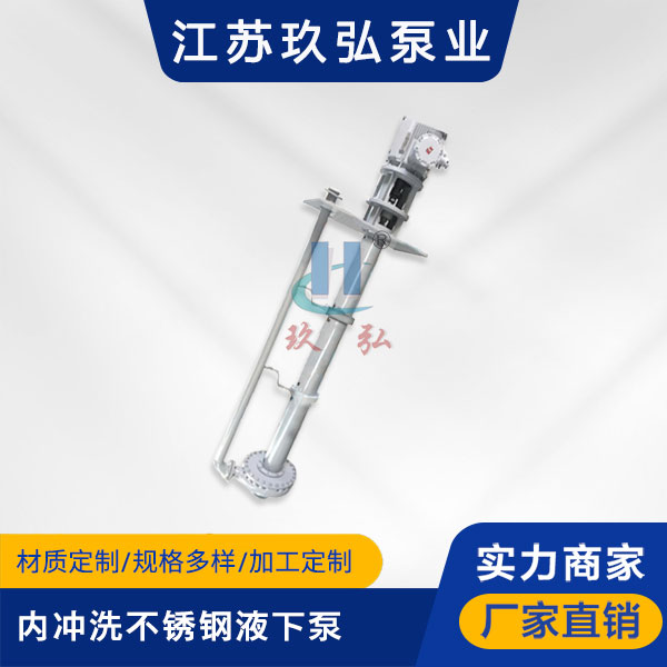 LY內（nèi）衝洗不鏽鋼長軸液下泵(圖（tú）1)