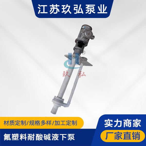 FYS氟塑料耐酸堿(jiǎn)液(yè)下泵(圖(tú)1) FYS氟塑料耐酸堿(jiǎn)液下泵(圖1)