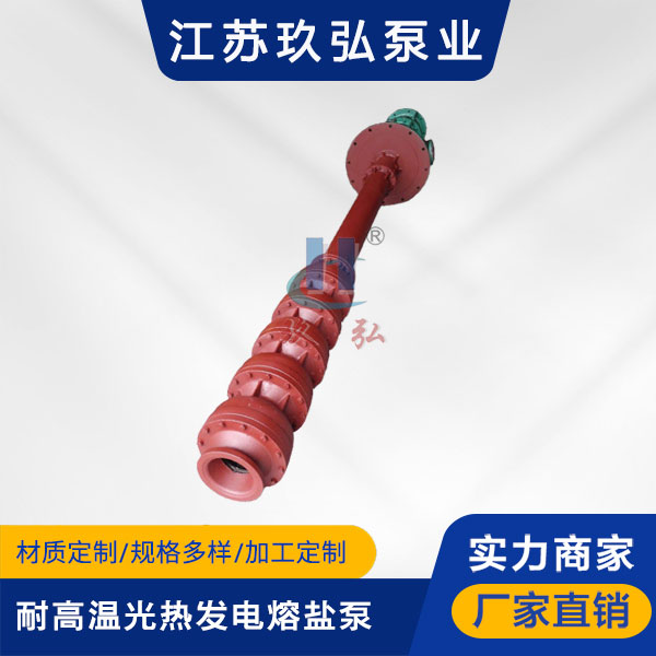 RY耐（nài）高溫光熱發電熔鹽泵(圖1)