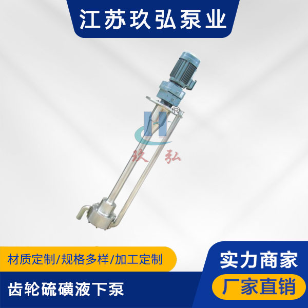 ATY齒輪硫（liú）磺液下泵【液硫泵】(圖1)