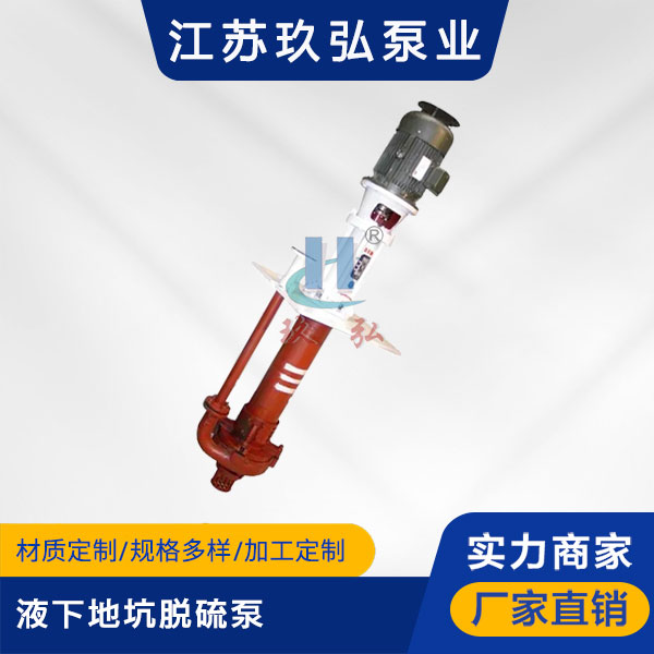 PLC液下地坑脫硫（liú）泵(圖1)