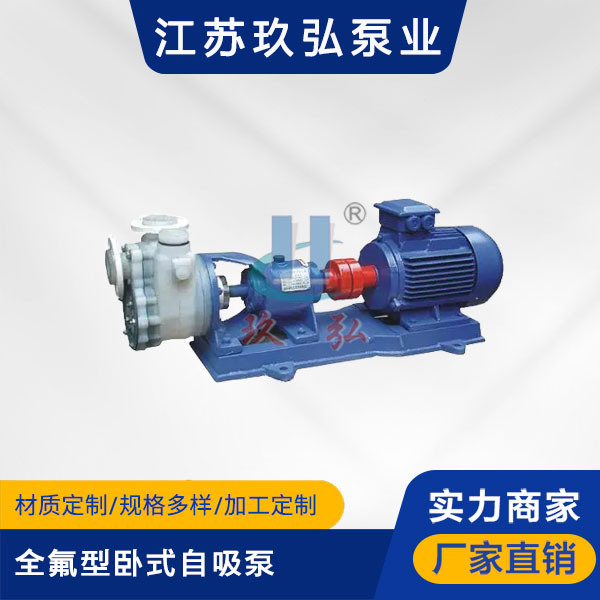 FZB全氟型臥式（shì）自吸泵(圖1)
