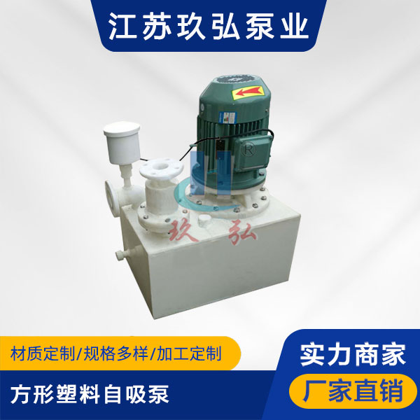 WFB方形塑料（liào）自吸泵(圖1)