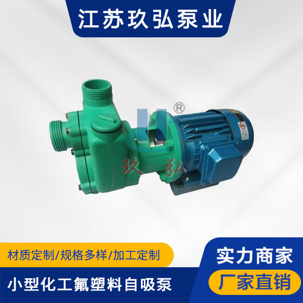 102小型化(huà)工氟塑料自吸泵(圖1) 102小型化工氟塑料自(zì)吸泵(bèng)(圖1)