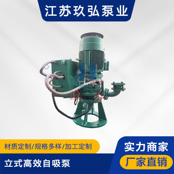 GLB立式高效自吸泵(圖1)