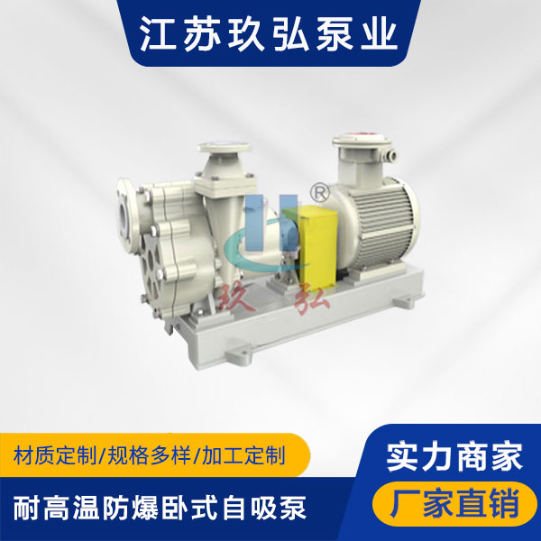 FZB耐高溫防爆臥式自吸泵(圖1)