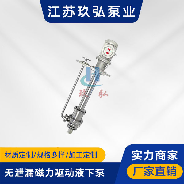 HYC無(wú)泄漏磁力驅動液下泵(圖1) HYC無泄漏磁(cí)力驅動(dòng)液下泵(圖1)