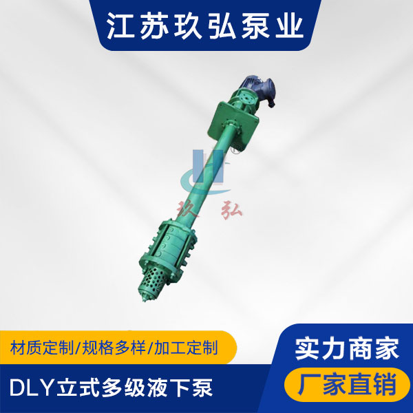 DLY立式(shì)多級液下泵(圖1) DLY立式多級液下泵(圖1)