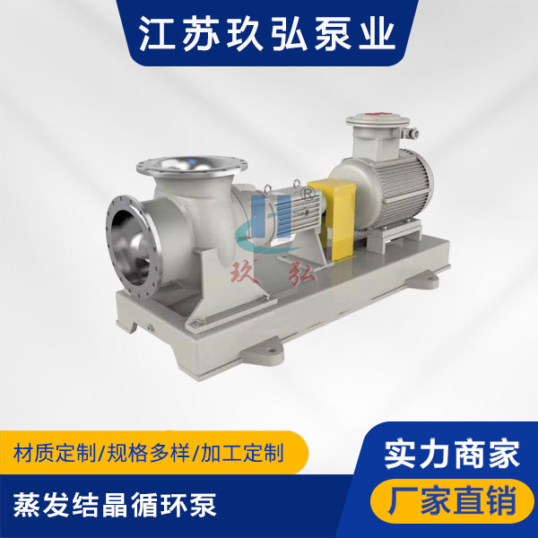 FJX蒸發結(jié)晶循環泵(圖1) FJX蒸發結晶循環泵(圖1)