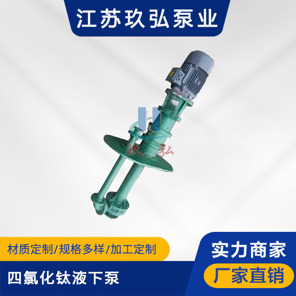 HYT四氯化鈦（tài）液下泵（bèng）（機（jī）械密封）(圖1)