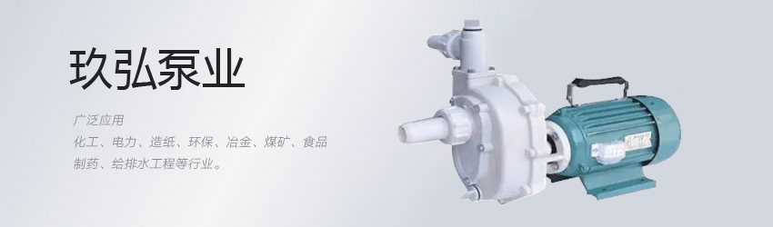 耐腐蝕自吸泵（bèng）