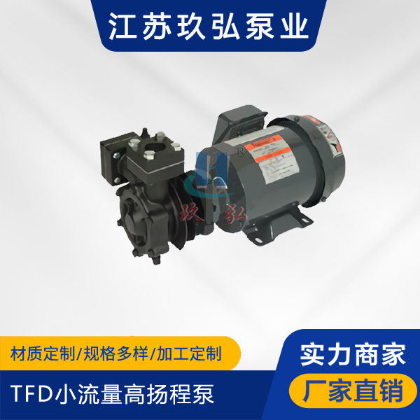 TFD小流量高揚程泵(圖1)