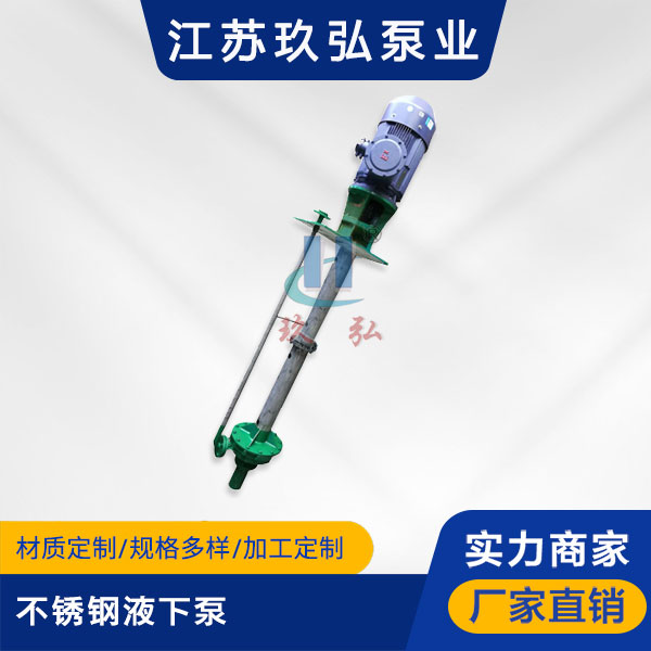 不鏽鋼液下泵（bèng）的安（ān）裝質量分析及控製(圖1)