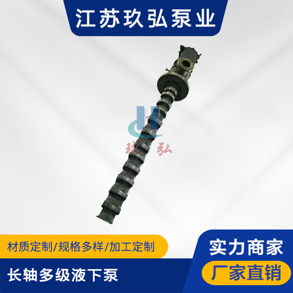HLC長軸（zhóu）多級（jí）液下泵(圖1)