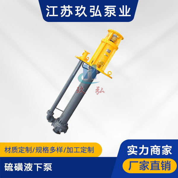 LHY型硫磺液（yè）下（xià）泵(圖1)