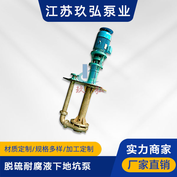 PLC脫硫（liú）地坑液下泵(圖1)