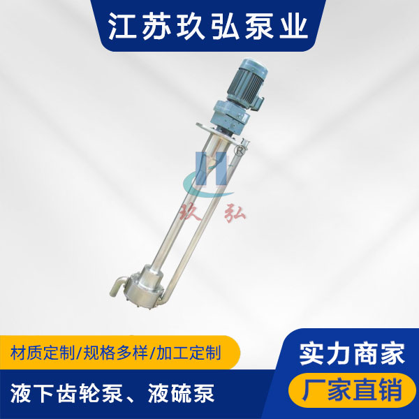 ATY液下齒輪泵、液硫泵(圖1)