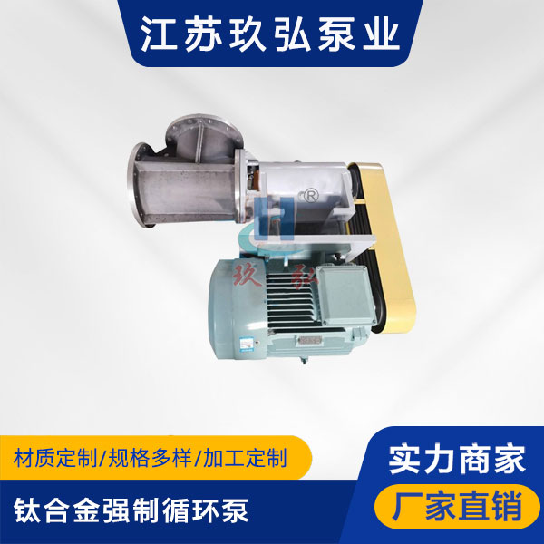 FJX-Ⅱ型鈦合金強製(zhì)循環泵(圖1) FJX-Ⅱ型鈦合金強製循環泵(圖1)