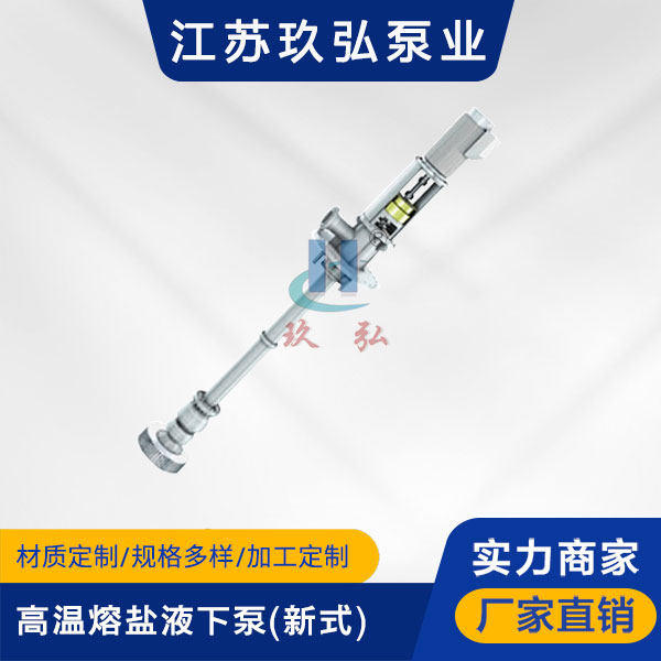 RY型高溫熔鹽液下泵(新式)(圖1)