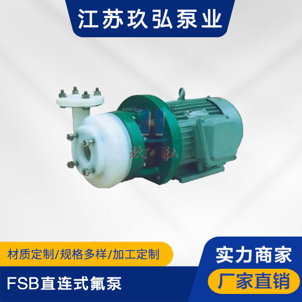 FSB直連式氟泵(圖（tú）1)